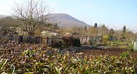 Bild: Frostige Garten-Impressionen