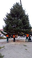 Weihnachtsmarkt in Bad Frankenhausen in Vorbereitung Bild: Weihnachtsmarkt in Bad Frankenhausen in Vorbereitung