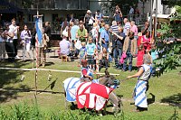 2:0-Sieg gegen Altglienicke Bild: 2:0-Sieg gegen Altglienicke