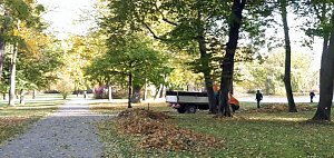 2:0-Sieg gegen Altglienicke Bild: 2:0-Sieg gegen Altglienicke