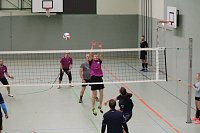 Bild: Volleyballturnier gestartet