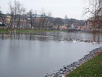 Bild: Ufersanierung Schlosspark SDH