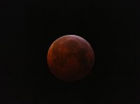 Bild: Blutmond
