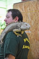 Reptilien Ausstellung Bild: Reptilien Ausstellung