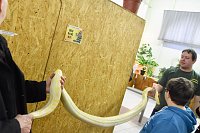 Reptilien Ausstellung Bild: Reptilien Ausstellung