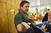 Reptilien Ausstellung Bild: Reptilien Ausstellung