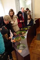 Exotisches aus Sondershausen Bild: Exotisches aus Sondershausen