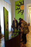 Exotisches aus Sondershausen Bild: Exotisches aus Sondershausen