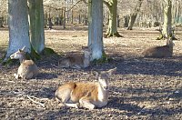 Zu Besuch bei Erdmännchen, Gepard und Co. auf dem Possen Bild: Zu Besuch bei Erdmännchen, Gepard und Co. auf dem Possen