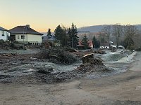 Bild: Thema Baumrodungen in Sondershausen