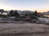Bild: Thema Baumrodungen in Sondershausen