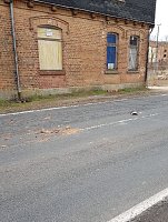 Einsätze wegen Sturmschäden Bild: Einsätze wegen Sturmschäden