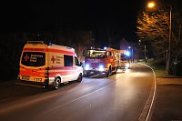 Bild: Brand im Borntal