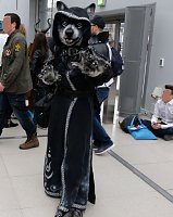 Manga-Comic-Convention 2019 in Leipzig Bild: Manga-Comic-Convention 2019 in Leipzig