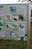 Bild: Natur und Schwimmen, das passt