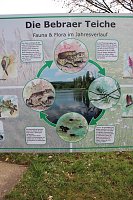 Bild: Natur und Schwimmen, das passt