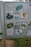 Bild: Natur und Schwimmen, das passt