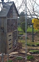 Insektenhotel gut besucht Bild: Insektenhotel gut besucht