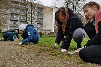Bild: Fr&uuml;hjahrsputz im Wohngebiet