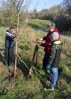 Bild: Streuobstwiese aus dem Dornr&ouml;schenschlaf erwacht