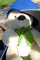 Hase im Olymp Bild: Hase im Olymp