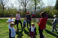 Hase im Olymp Bild: Hase im Olymp