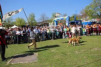 Großartiger MDR Osterspaziergang in Bad Frankenhausen Bild: Großartiger MDR Osterspaziergang in Bad Frankenhausen