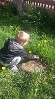 Ostereier im Pfarrgarten Bild: Ostereier im Pfarrgarten