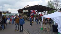 Apfelblütenfest in Gierstädt sehr gut besucht Bild: Apfelblütenfest in Gierstädt sehr gut besucht