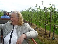 Apfelblütenfest in Gierstädt sehr gut besucht Bild: Apfelblütenfest in Gierstädt sehr gut besucht