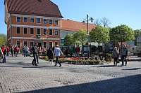 Bild: Ansturm auf Sondersh&auml;user Blumen-, Pflanzen- und Staudenmarkt
