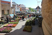 Bild: Ansturm auf Sondersh&auml;user Blumen-, Pflanzen- und Staudenmarkt