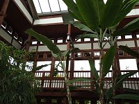 Bild: WB 4 besuchte Japanischen Garten in Bad Langensalza