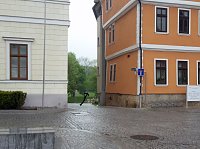 Das am häufigsten ignorierte Verkehrszeichen Bild: Das am häufigsten ignorierte Verkehrszeichen
