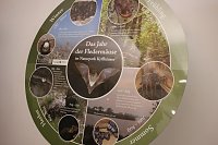Mittel zum Schutz der Mopsfledermaus Bild: Mittel zum Schutz der Mopsfledermaus