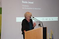 Mittel zum Schutz der Mopsfledermaus Bild: Mittel zum Schutz der Mopsfledermaus