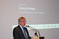 Mittel zum Schutz der Mopsfledermaus Bild: Mittel zum Schutz der Mopsfledermaus