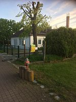 Bereits 7. Straßen-Flohmarkt Bild: Bereits 7. Straßen-Flohmarkt
