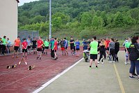 Leichtathleten im Wettkampf Bild: Leichtathleten im Wettkampf