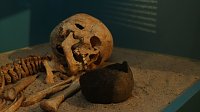 Neue archäologische Dauerausstellung im Heringer Schloss Bild: Neue archäologische Dauerausstellung im Heringer Schloss