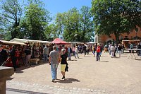 Musikalischer Höhepunkt am Nachmittag Bild: Musikalischer Höhepunkt am Nachmittag