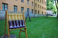 Musikalischer Höhepunkt am Nachmittag Bild: Musikalischer Höhepunkt am Nachmittag