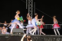 Bild: Residenzfest in Sondershausen