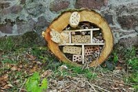 Bild: Das fertige Insektenhotel auf dem Burgberg in Ilfeld