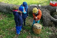 Bild: Die Kinder des Waldkindergarten bauen ein Insektenhotel