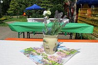 Sommerfest in der "Arche Noah" Bild: Sommerfest in der "Arche Noah"