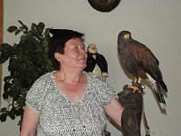 Luca Falke und Wüsten-Bussard Uschi zu Besuch im WB 4 Bild: Luca Falke und Wüsten-Bussard Uschi zu Besuch im WB 4