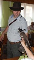 Luca Falke und Wüsten-Bussard Uschi zu Besuch im WB 4 Bild: Luca Falke und Wüsten-Bussard Uschi zu Besuch im WB 4