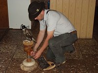 Luca Falke und Wüsten-Bussard Uschi zu Besuch im WB 4 Bild: Luca Falke und Wüsten-Bussard Uschi zu Besuch im WB 4