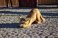 Neuer Spielplatz am Kyffhäuserdenkmal Bild: Neuer Spielplatz am Kyffhäuserdenkmal